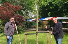 Afbeelding 1 van WormerWonen schenkt boom aan Wilhelminapark in Wormerveer